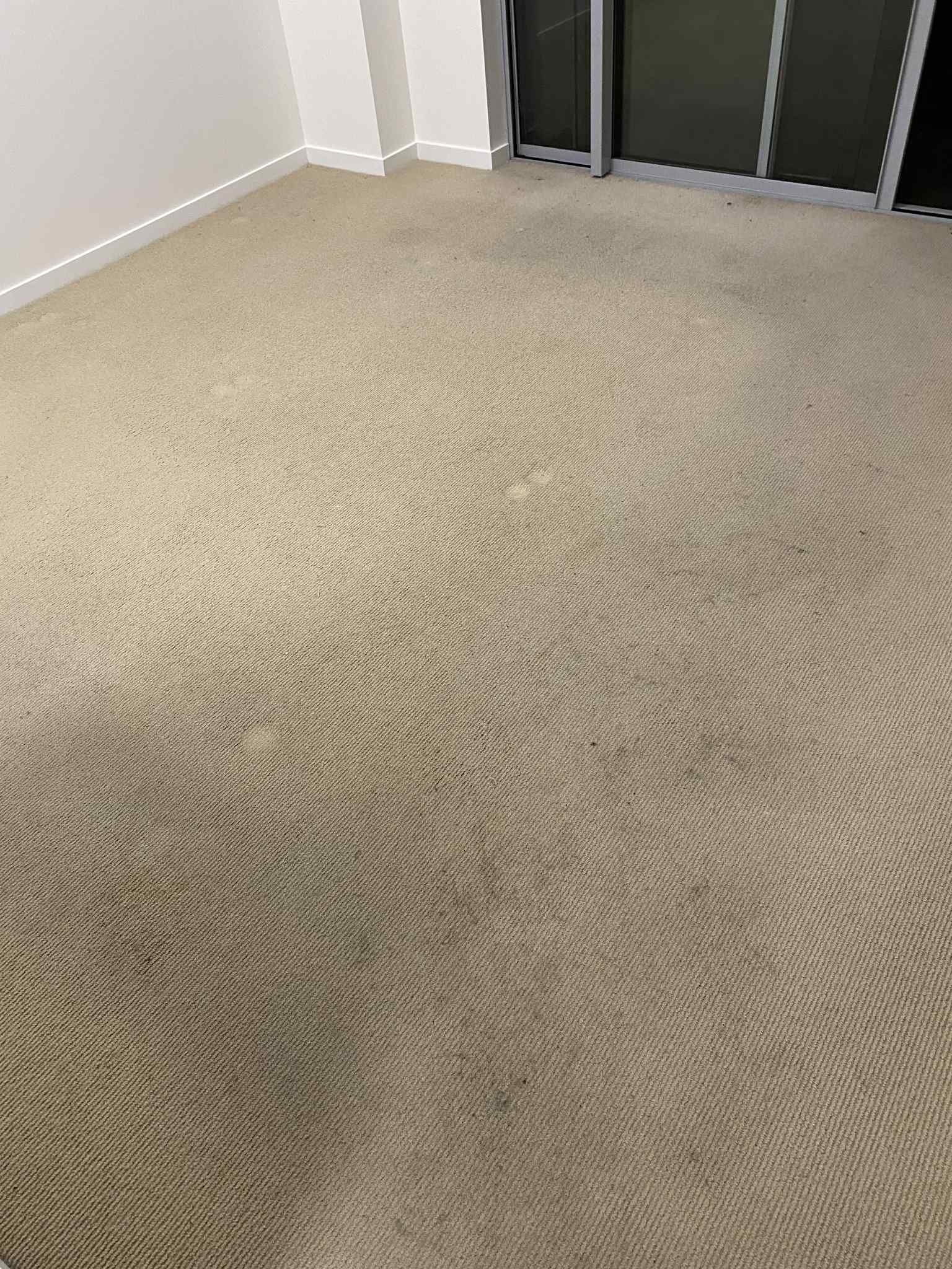 Carpet Cleaning before cleaning