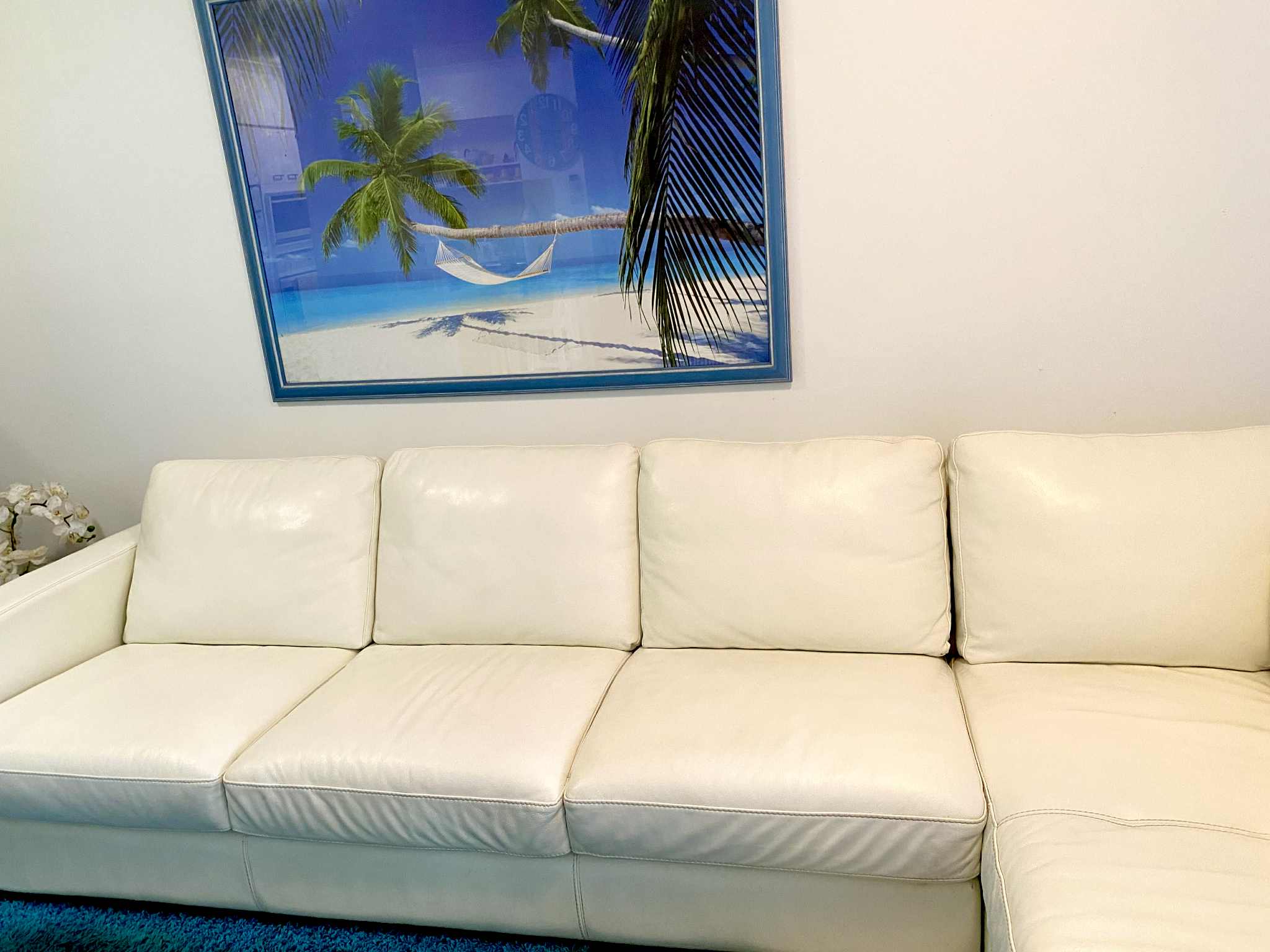 Leather Cleaning after cleaning