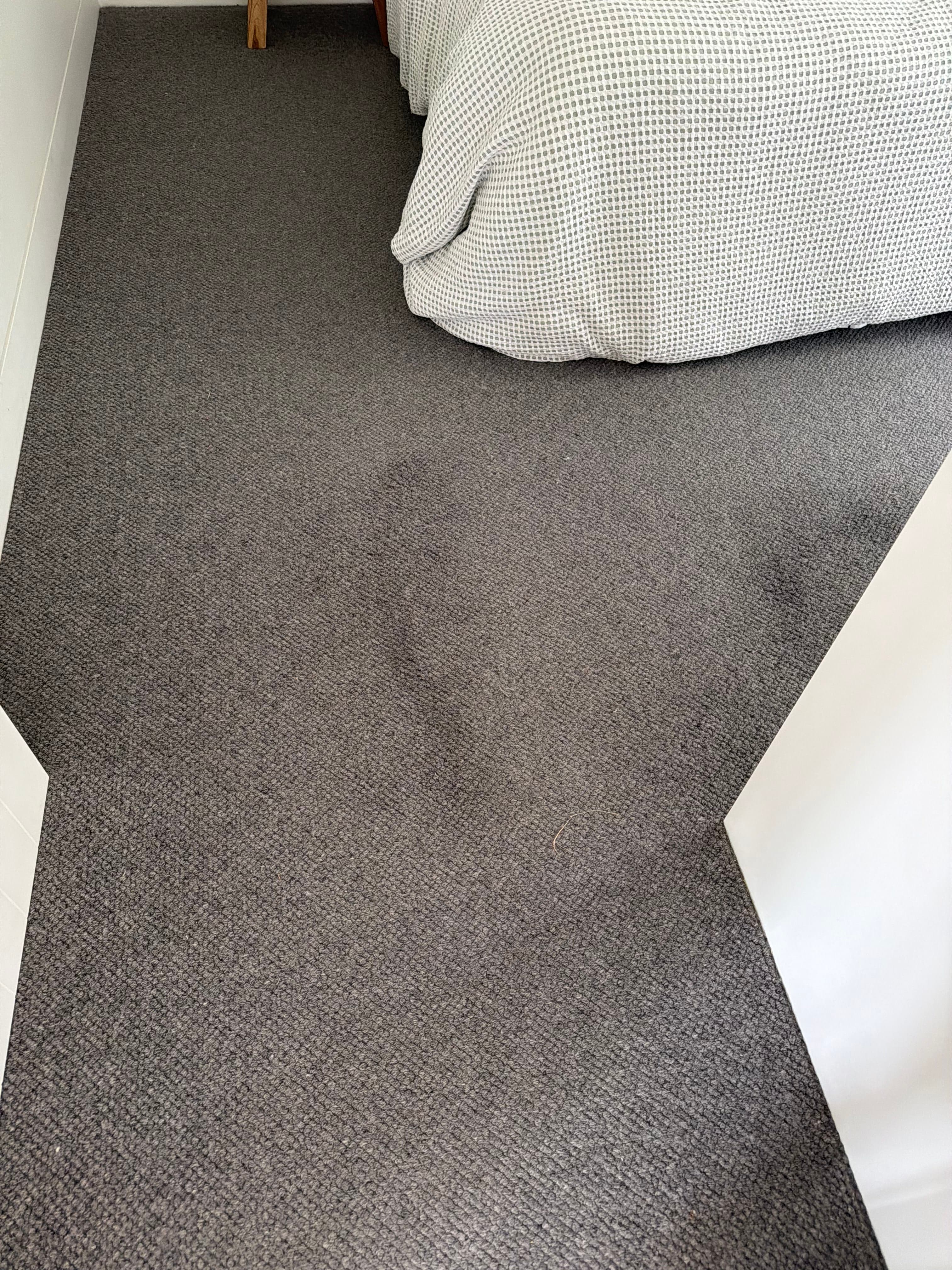 Carpet Cleaning before cleaning