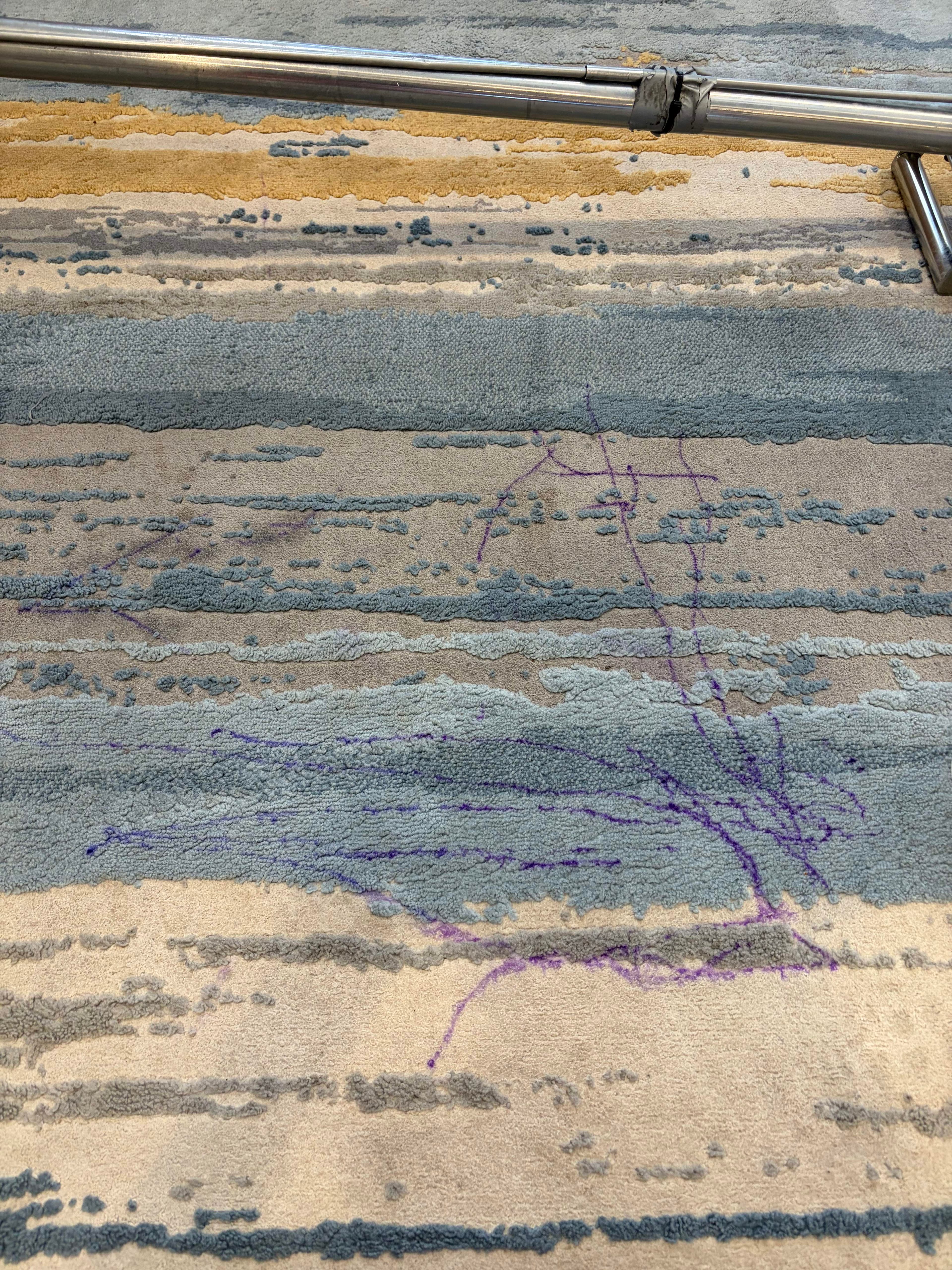 Rug Cleaning before cleaning