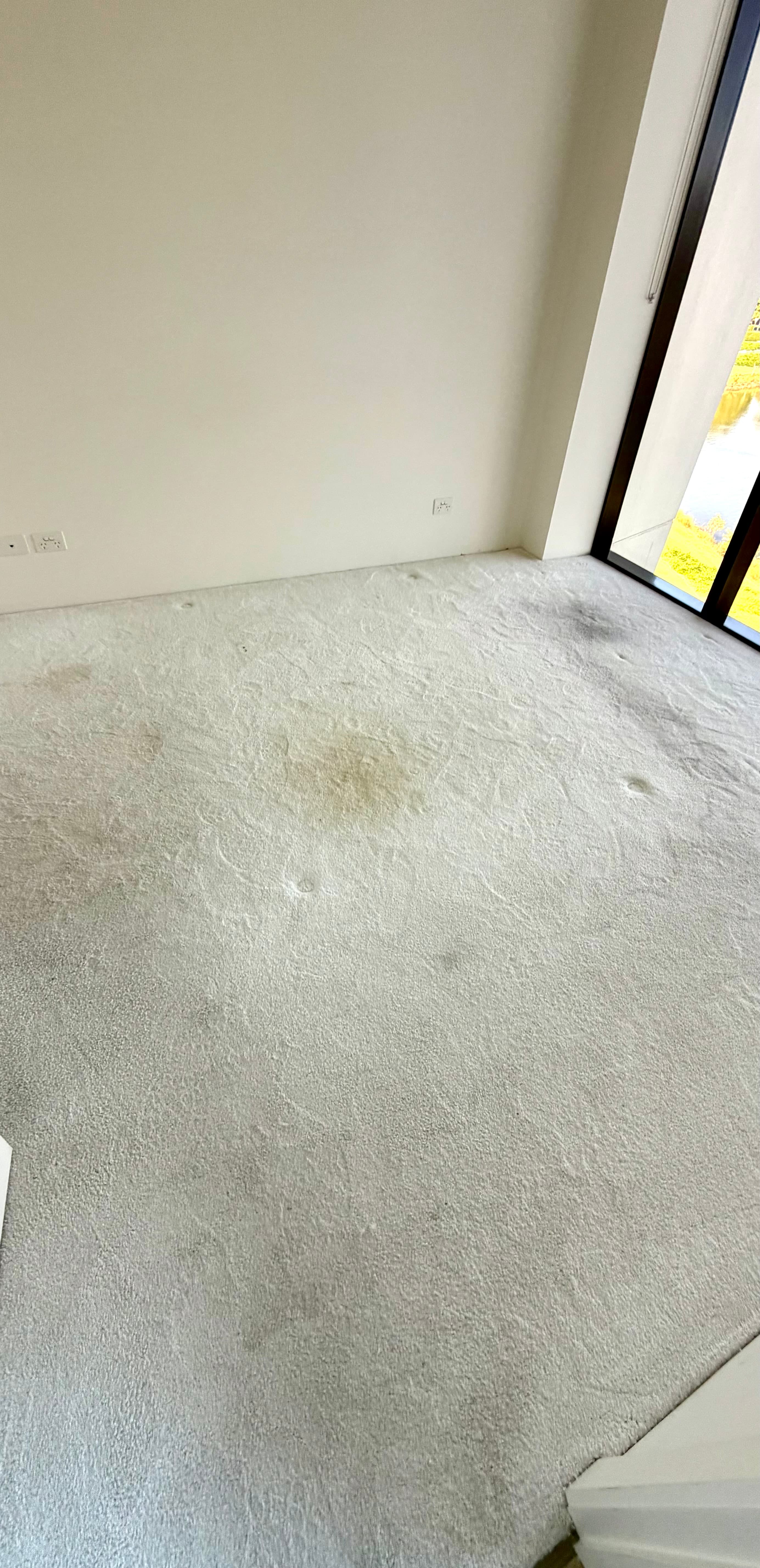 Carpet Cleaning before cleaning