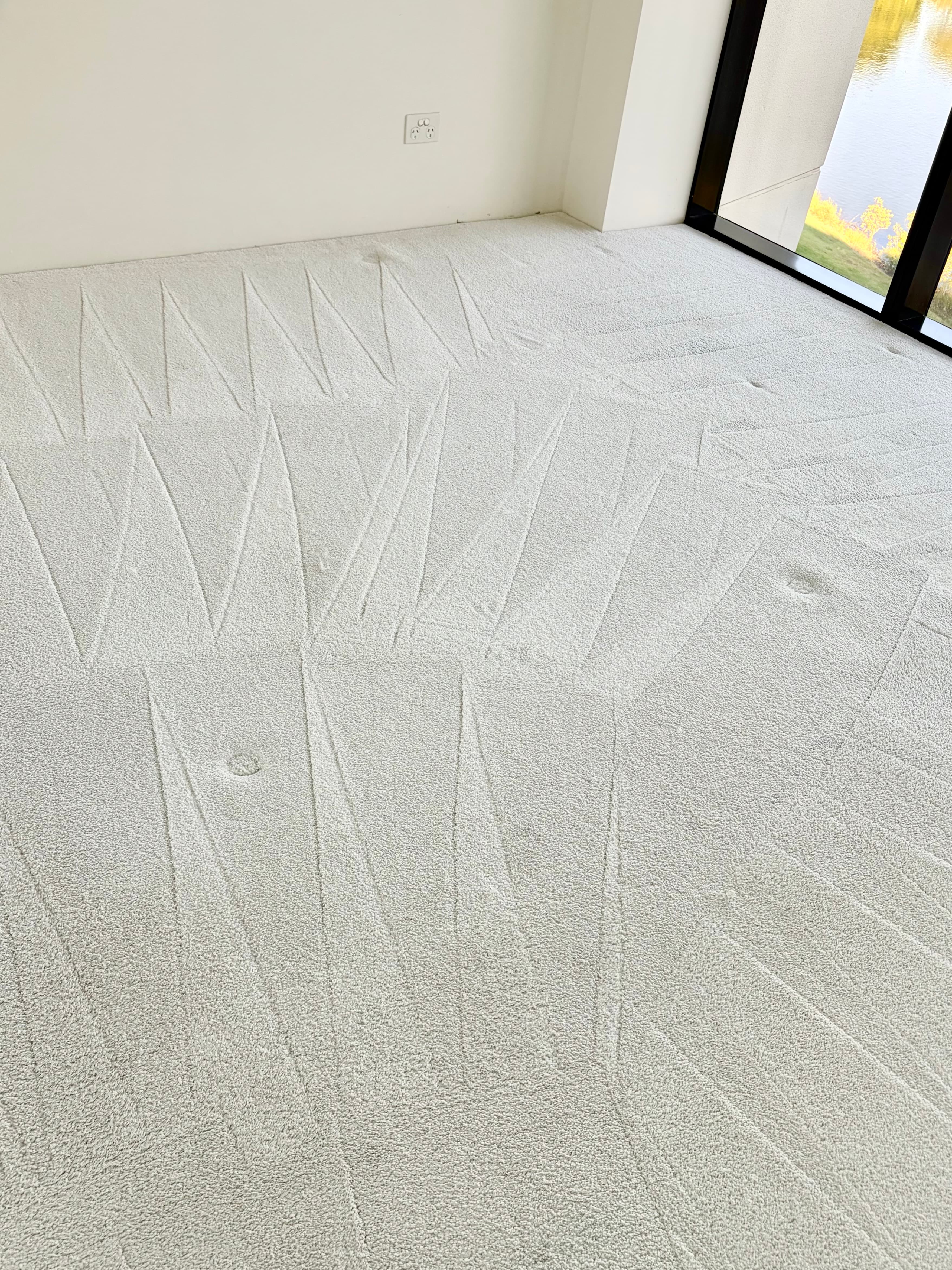 Carpet Cleaning after cleaning